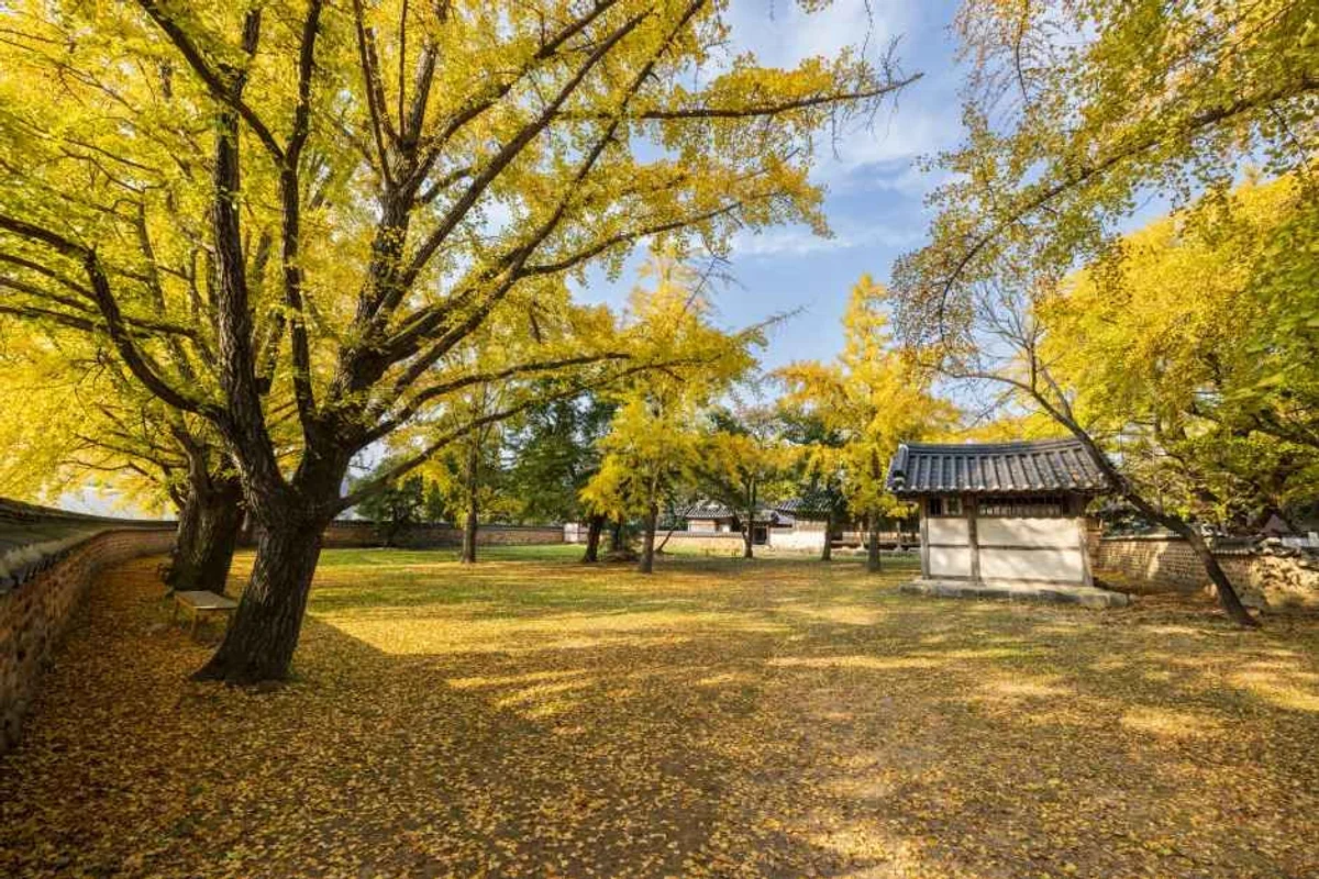 청라 횟집 (출처 : 한국관광공사)