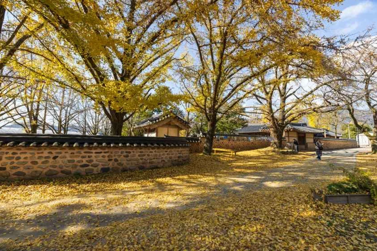 경인아라뱃길여객터미널아라타워 - 청라 여행